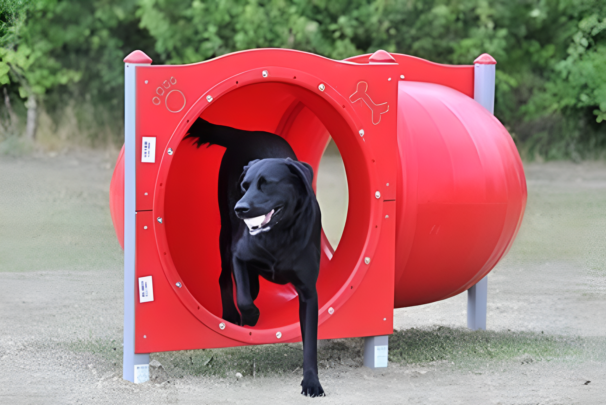Dog Park for Your Community