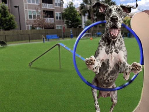 Dog Park Equipment Installation